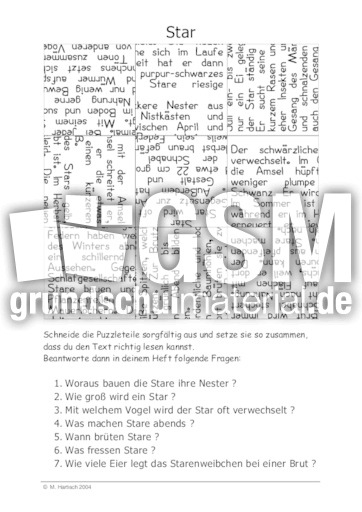 Star.pdf